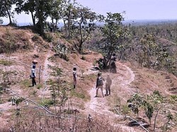 PT BSI Serahkan Lahan Kompensasi Terluas di Indonesia