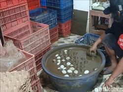 Perajin Telur Asin di Brebes Tambah Produksi 3 Kali Lipat Sambut Lebaran