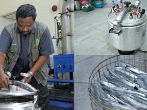 Unik! Inovator IPB University Ubah Panci Presto Jadi Sterilisator