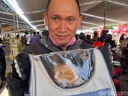 Cerita Pasutri Bawa 2 Kucing Kesayangan Mudik Motoran Jakbar-Lampung