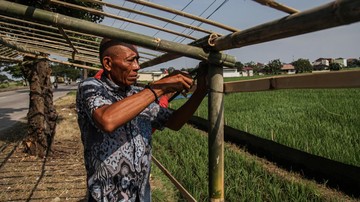 Berita dari Detik Finance: Sambut Pemudik, Warga Dirikan Warung Musiman di Pantura Karawang
