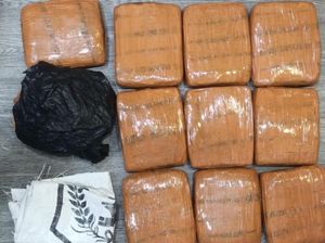 Polda Metro Gagalkan Peredaran Narkoba Jelang Lebaran, 10 Kg Ganja Disita