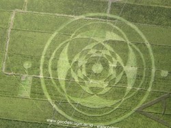 Misteri Kandungan Nikel di Batang Padi Crop Circle Sleman 2011