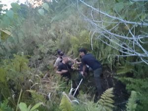 Kabur dari Lapas Wamena, Anggota KKB Pembunuh Polisi Ditangkap di Yahukimo