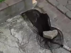 Viral Pria di Tangerang Protes Kucingnya Dijaring tapi Malah Dicekik