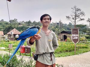 Wisata Baru KBB: Nordic Land Tawarkan Edukasi Alam & Satwa