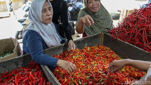 Pedasnya Harga Cabai Tembus Rp120.000 per Kilogram