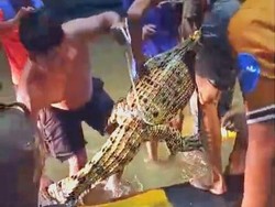 Viral Pemuda di Malinau Tangkap Buaya Saat Banjir, Ternyata Peliharaan Warga