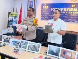 Bandar Narkoba-Pasutri Ditangkap di Jayapura, 35 Paket Sabu Disita