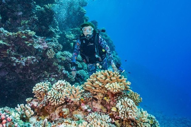 Sylvia Earle sudah memiliki ketertarikan pada dunia laut sejak usia dini, yang membentuk arah hidup dan kariernya di bidang kelautan.