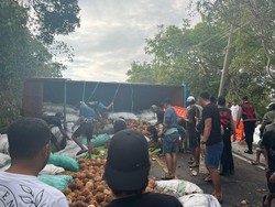Truk Muat Kelapa Terbalik hingga Tutup Jalan Poros Bira Bulukumba
