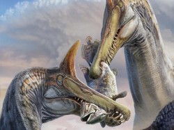 Spesies Dinosaurus Baru Terungkap di Gurun, Si Raksasa Pemakan Ikan