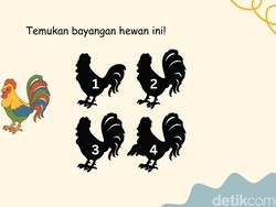 Cek Ketajaman Saraf Mata, Temukan Bayangan yang Tepat!