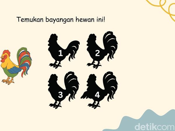 Tes Fokus dan Memori, Bisa Temukan Bayangan yang Sesuai?