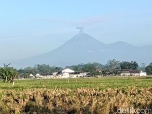 Gunung Semeru Erupsi, Tinggi Letusan Capai 1.000 Meter