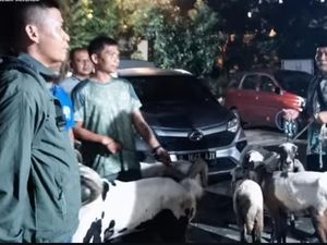 Polsek Cileungsi Tangkap Sindikat Maling Ternak, 6 Kambing Diserahkan ke Pemilik