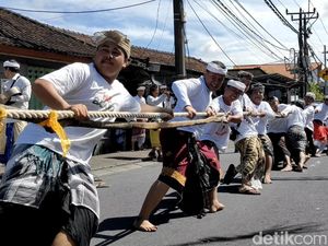Video: Serunya Tradisi Mbed-mbedan Setelah Nyepi di Badung Bali