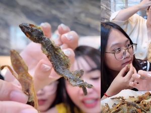 Konten Kreator Ini Nekat Makan Cicak Goreng, Ungkap Bagian Terenak!