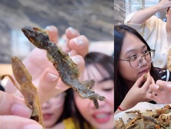 Konten Kreator Ini Nekat Makan Cicak Goreng, Ungkap Bagian Terenak!