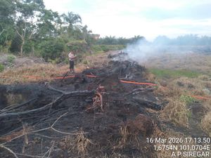 Polisi Tangkap Tangan Pelaku Pembakaran Lahan di Rohil Riau