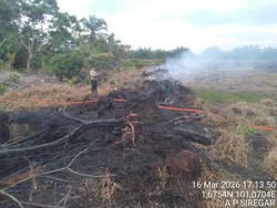 Polisi Tangkap Tangan Pelaku Pembakaran Lahan di Rohil Riau