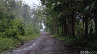 Kisah Kampung Mati di Gunung Tugel Banyumas: Ternyata, Dulu Bekas...