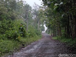 Kisah Kampung Mati di Gunung Tugel Banyumas: Ternyata, Dulu Bekas...