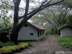 Menyusuri Kampung Mati Gunung Tugel Banyumas Bekas Kamp Calon Transmigran