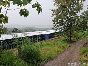 Ternyata Ada Kandang Ayam Modern di Kampung Mati Gunung Tugel Banyumas