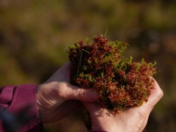 Bumi Makin Hangat tapi Tanah di Wilayah Ini Jadi Subur, Kenapa?