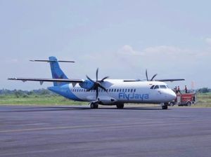 Ada Transportasi Gratis Buat Rombongan Wisatawan di Jember, Ini Syaratnya