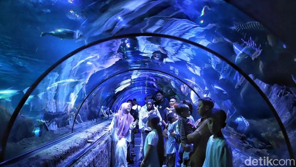 Sea World Ancol Dipadati Wisatawan Saat Libur Lebaran