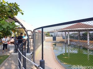 Penangkaran Buaya Asam Kumbang Medan Dipadati Pengunjung saat Libur Lebaran