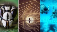 Foto HP Makin Gila! Ini Pemenang Mobile Photography Awards 2025