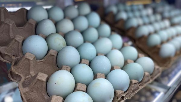 Telur Asin Tahan Berapa Hari di Kulkas? Ini Jawabannya