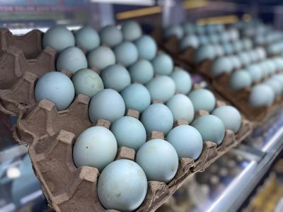 Telur Asin Tahan Berapa Hari di Kulkas? Ini Jawabannya