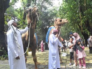 Serunya Parade Satwa KBS Diserbu Ribuan Pengunjung Saat Libur Lebaran
