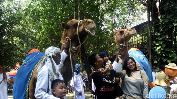 Ribuan Pengunjung Padati Kebun Binatang Surabaya