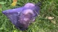 Mayat Bayi Terbungkus Kresek Ditemukan di Sungai Bagorejo Banyuwangi