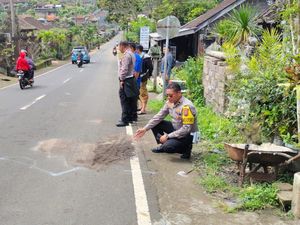 Lansia Tewas Tertabrak Truk di Tabanan, Terseret 7 Meter