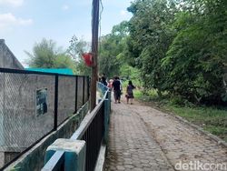 Kondisi Medan Zoo Memprihatinkan, Walkot Rico Konsultasi dengan PKBSI