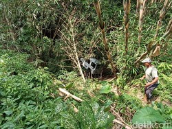 5 Pegawai Dinas Pertanian Tabanan Masuk Jurang 8 Meter, Ini Kronologinya