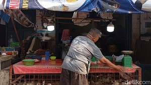Bacaan Niat dan Doa Menyembelih Ayam, Yuk Disimak!