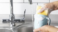 Ada Lapisan Licin di Alat Rumah Tangga? Hati-hati, Bisa Jadi Tandanya Banyak Bakteri