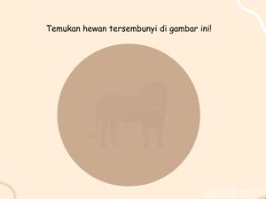 Uji Ketajaman Mata, Bisa Tebak Hewan yang Ada di Gambar Ini?