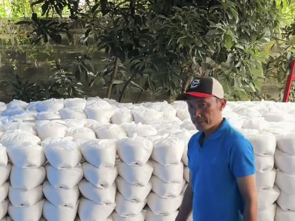 Dewi Perssik Balas Nyinyiran soal THR Rp 15 Ribu dengan Gunungan Beras