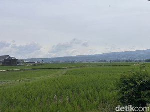 Disasarin Google Maps ke Sawah, Perjalanan Arus Balik Ini Berasa Naik Roller Coaster!