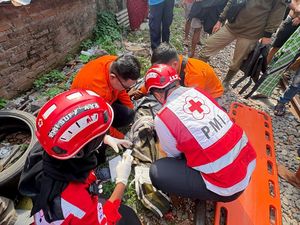 Lansia di Surabaya Selamat Setelah Tertabrak Kereta Api