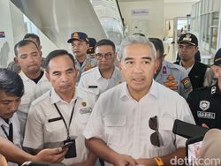 Upaya Pemkot Bandung Cegah Kejadian Pohon Tumbang Maut Terulang