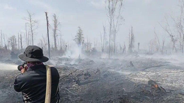 Karhutla Kalbar Didominasi Pembukaan Lahan, Polisi: Semua Kasus Perorangan
